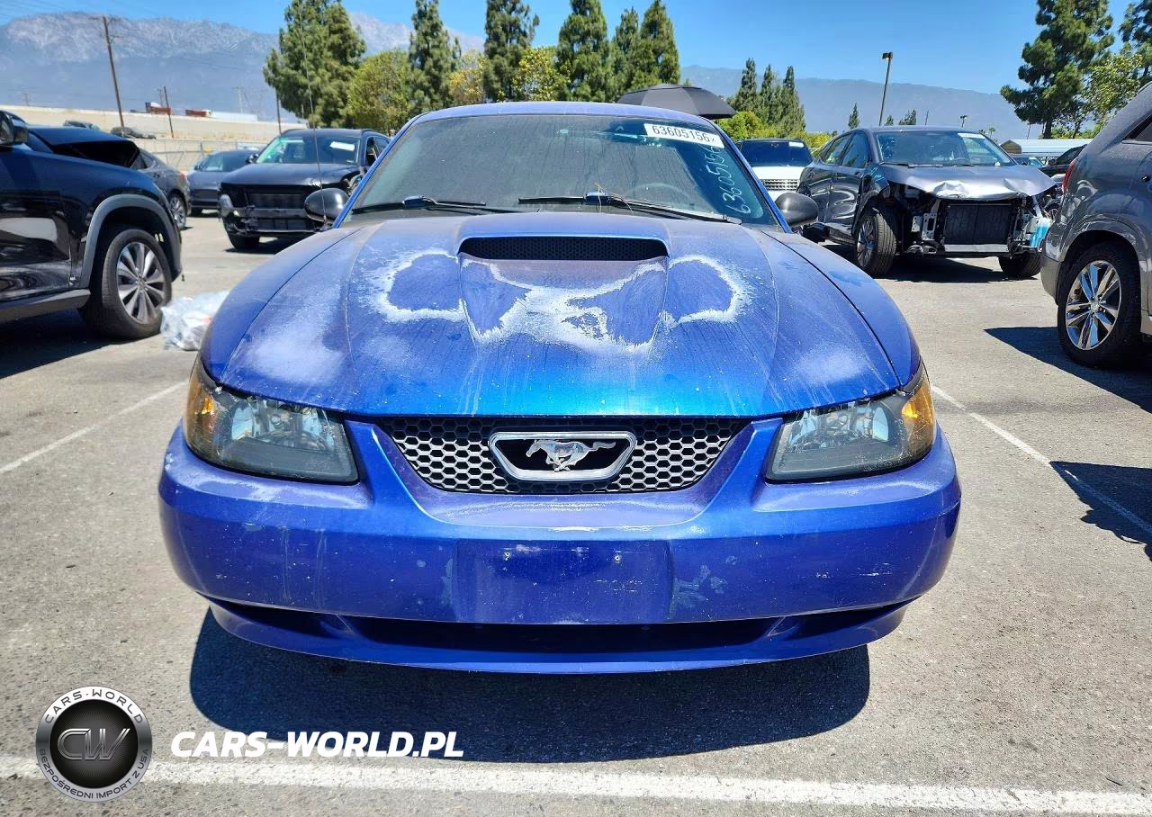 2003 Ford Mustang Gt VIN:1FAFP42X23F354536 - 5
