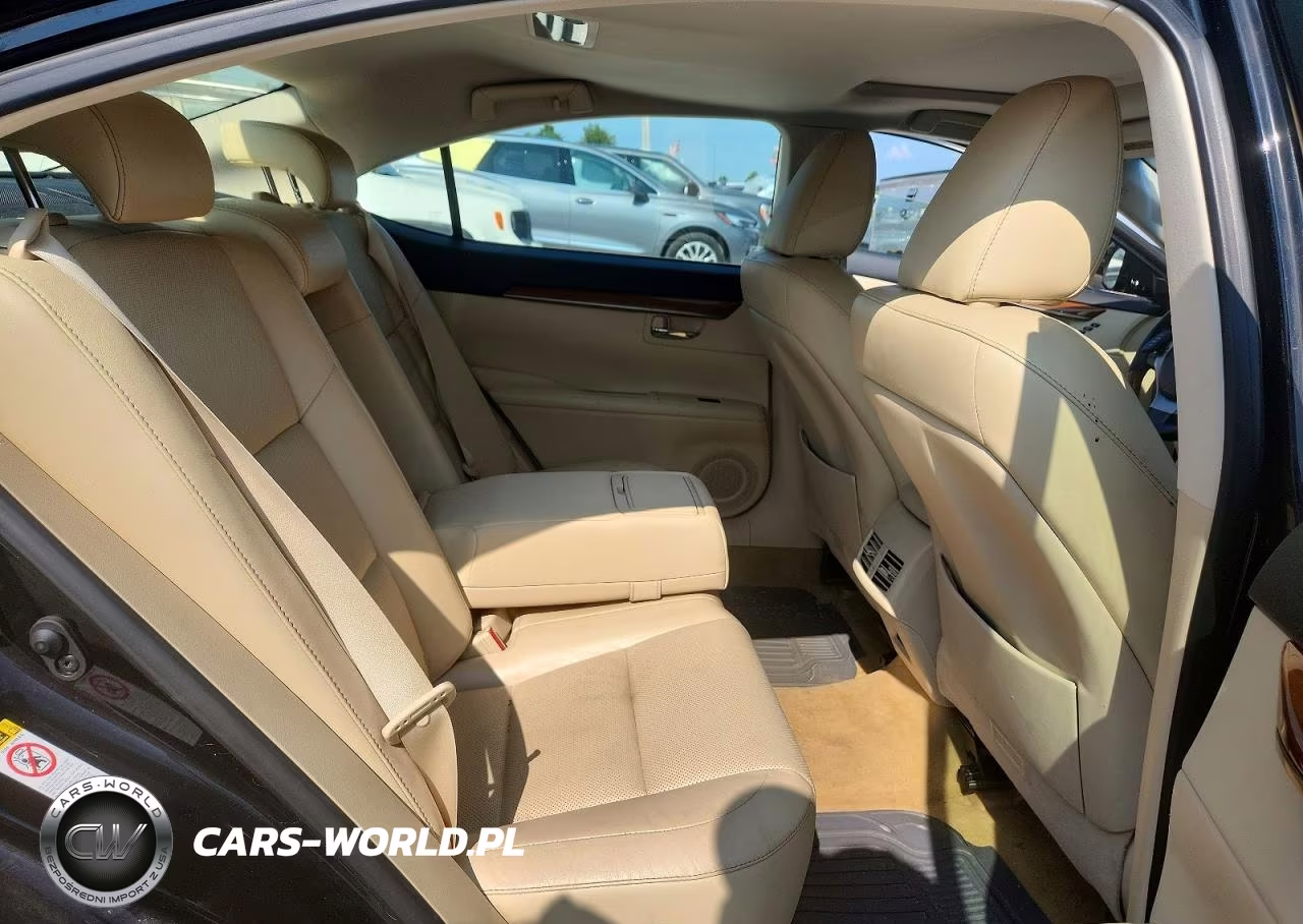 2014 Lexus Es 300H VIN:JTHBW1GG2E2044852 - 10