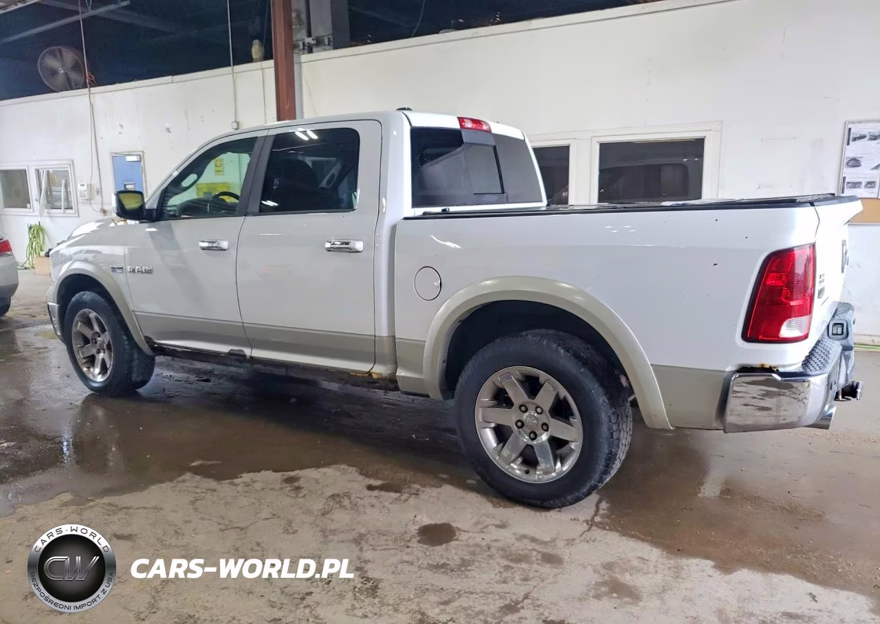 2010 Dodge Ram 1500 VIN:1D7RV1CT6AS153739 - 2