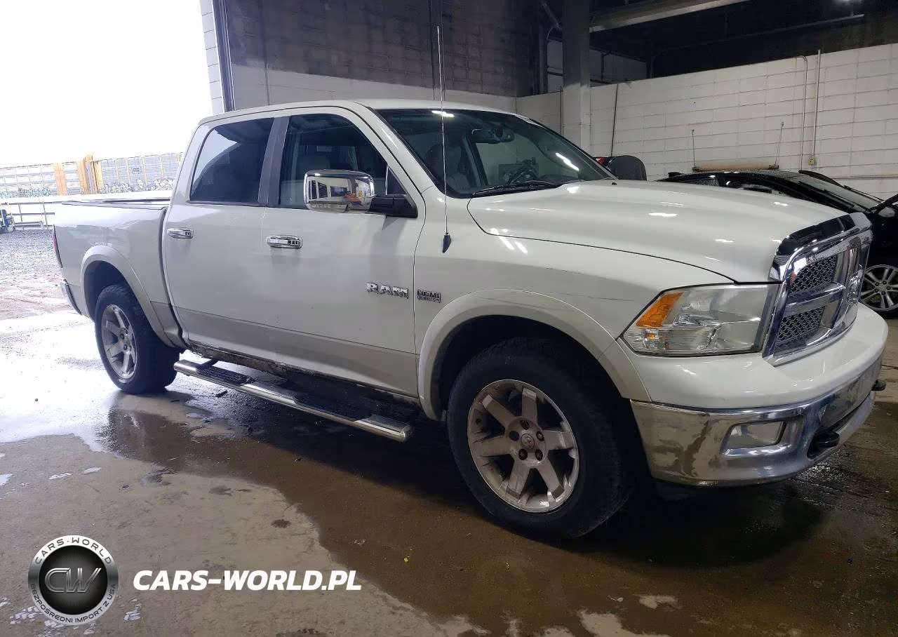 2010 Dodge Ram 1500 VIN:1D7RV1CT6AS153739 - 4