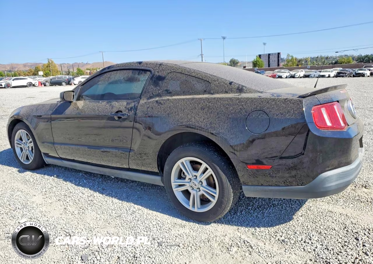 2010 Ford Mustang VIN:1ZVBP8AN2A5155969 - 2