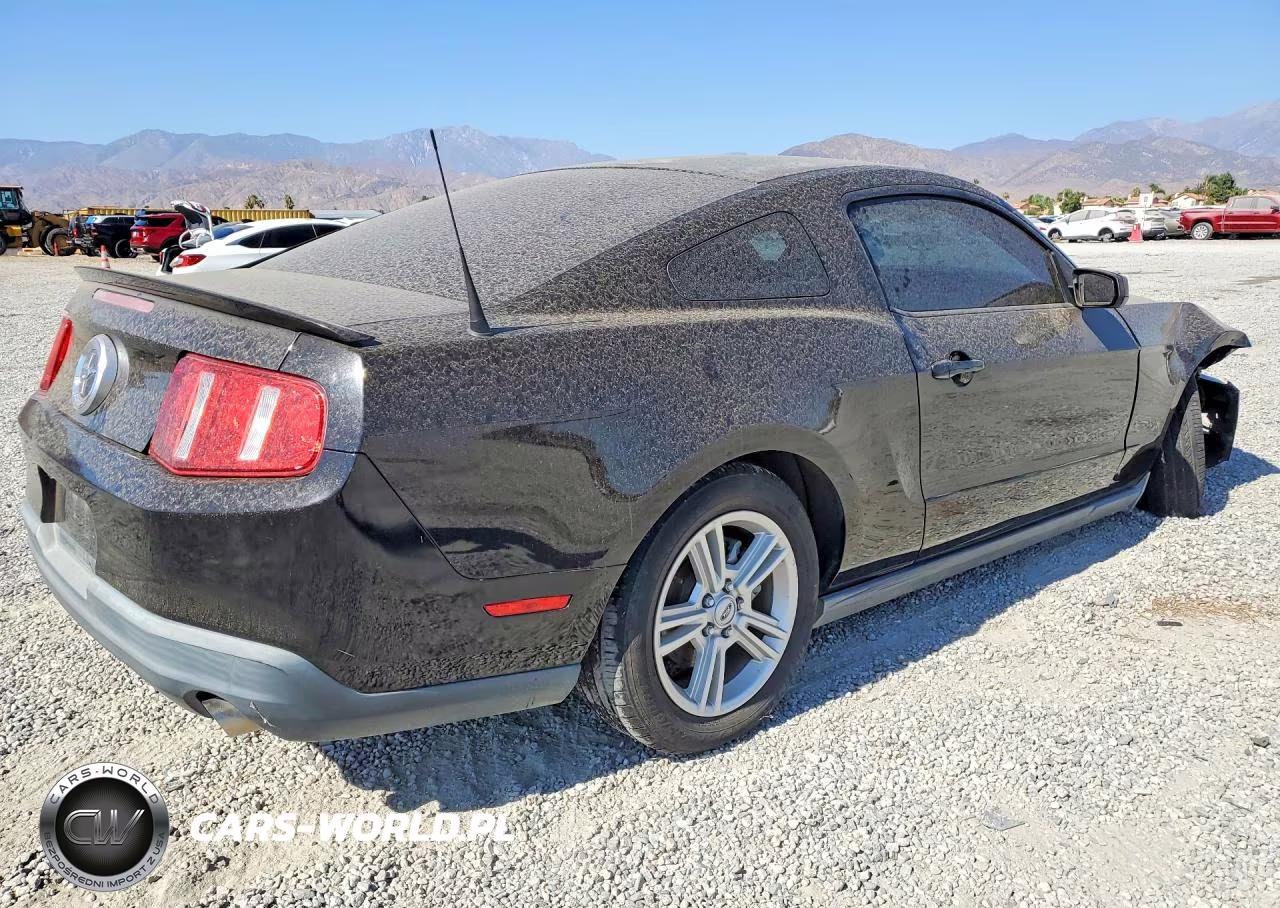 2010 Ford Mustang VIN:1ZVBP8AN2A5155969 - 3