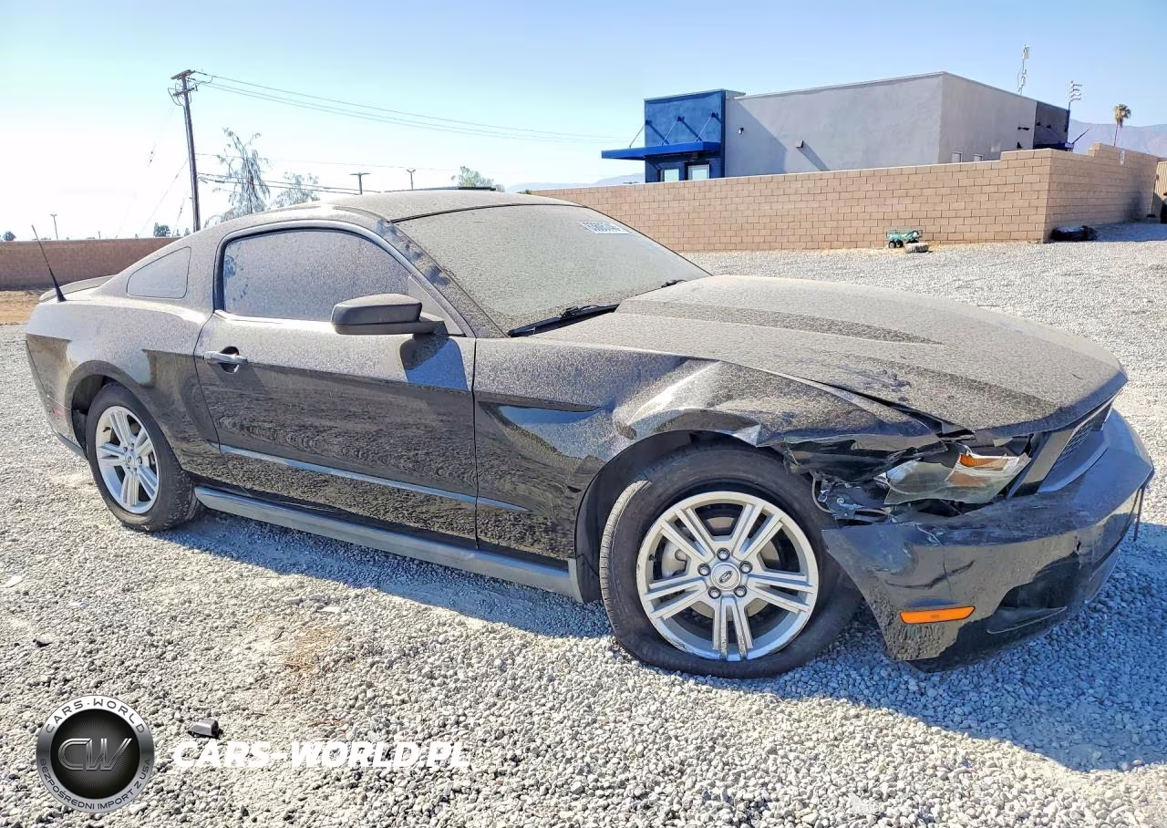 2010 Ford Mustang VIN:1ZVBP8AN2A5155969 - 4