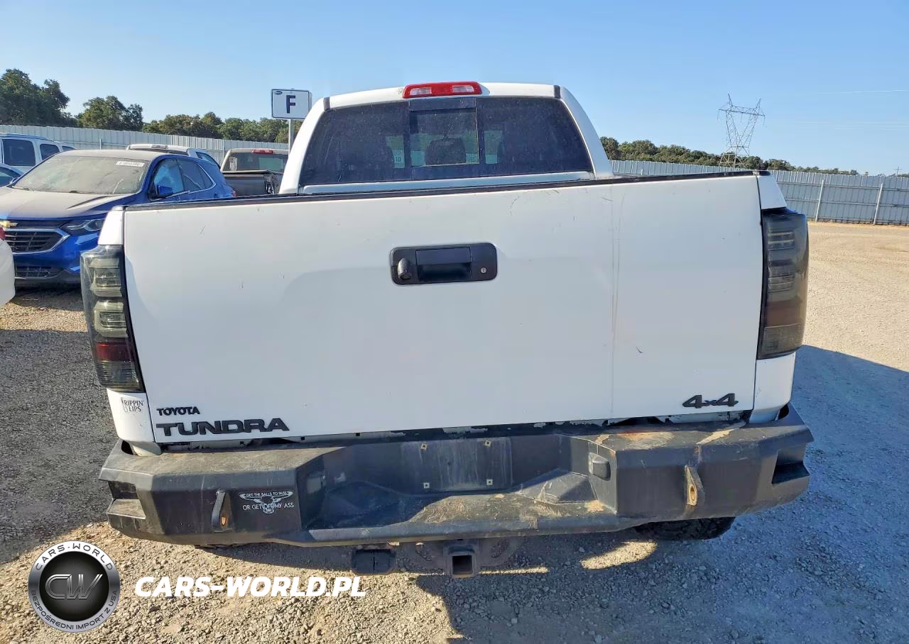 2010 Toyota Tundra Double Cab Limited VIN:5TFBY5F13AX137182 - 6
