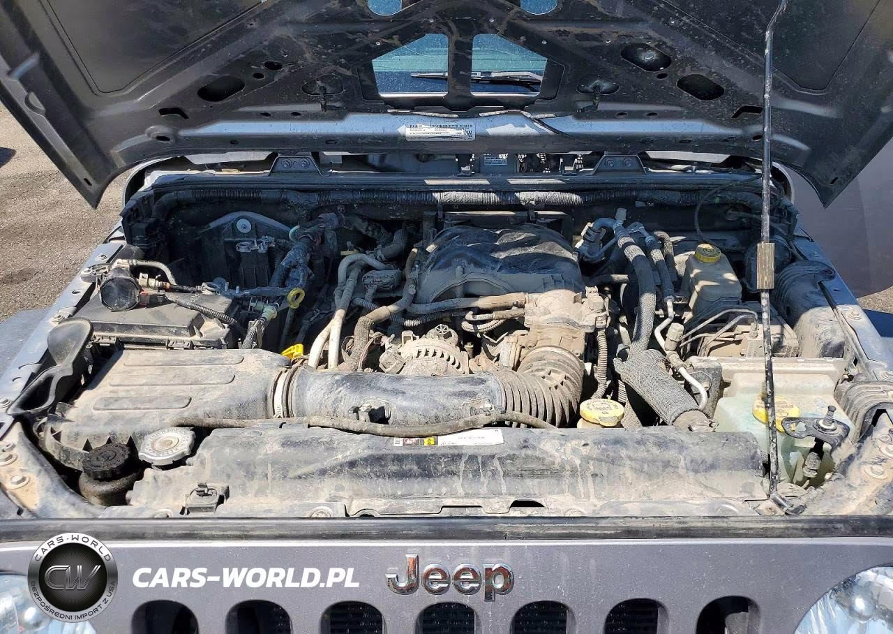 2015 Jeep Wrangler Unlimited Rubicon VIN:1C4BJWFG1FL655076 - 12