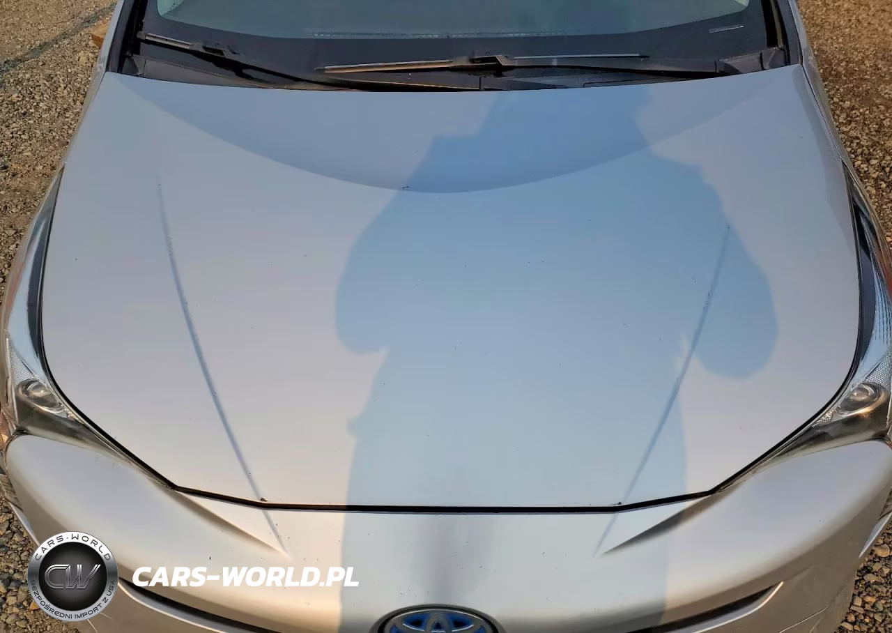 2017 Toyota Prius Two Eco VIN:JTDKARFU7H3038632 - 12