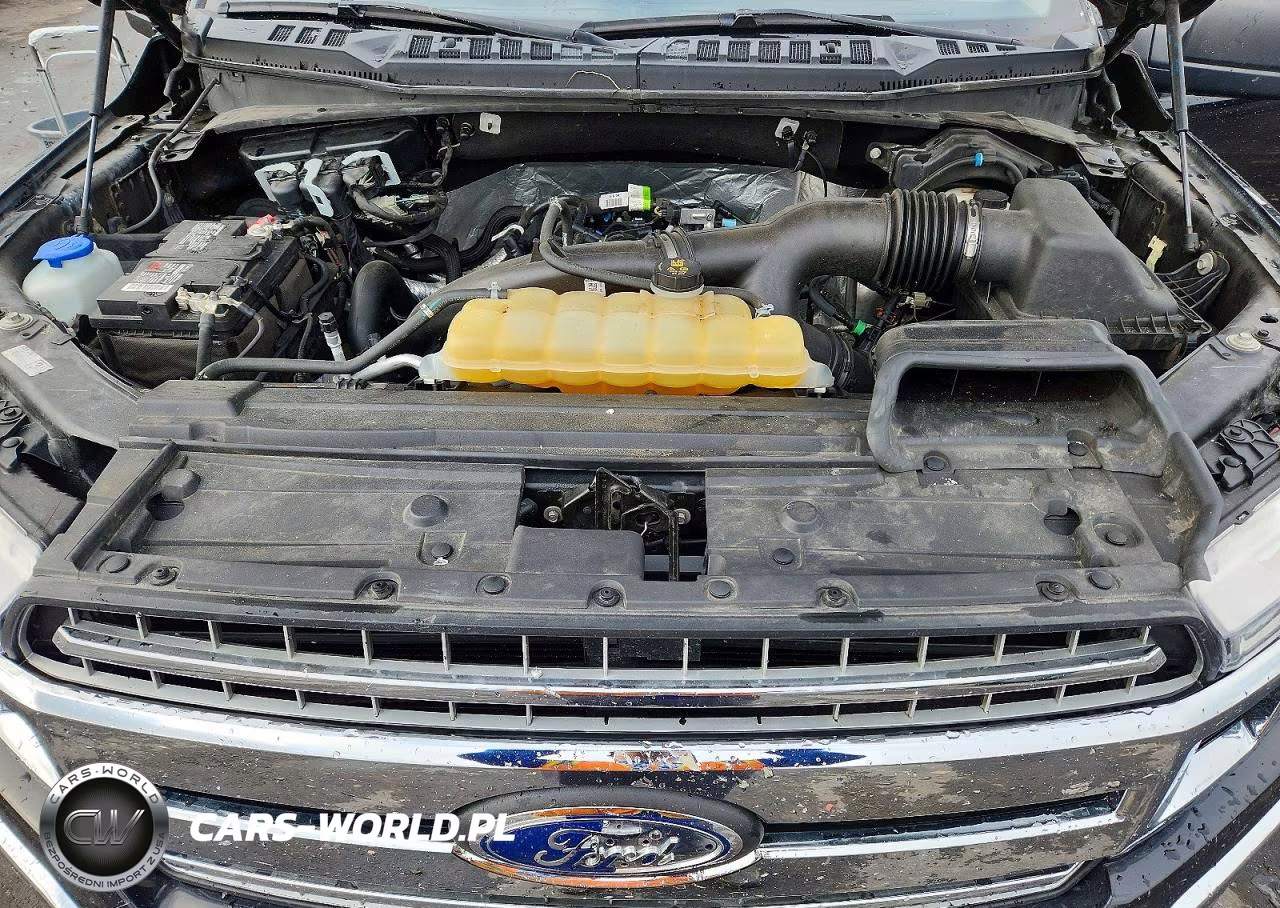 2019 Ford F150 Supercrew VIN:1FTEW1EP0KFB15696 - 11