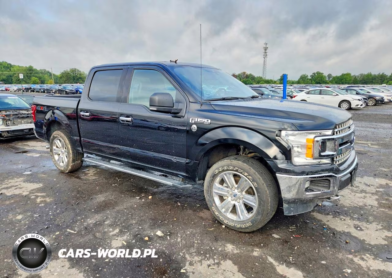 2019 Ford F150 Supercrew VIN:1FTEW1EP0KFB15696 - 4