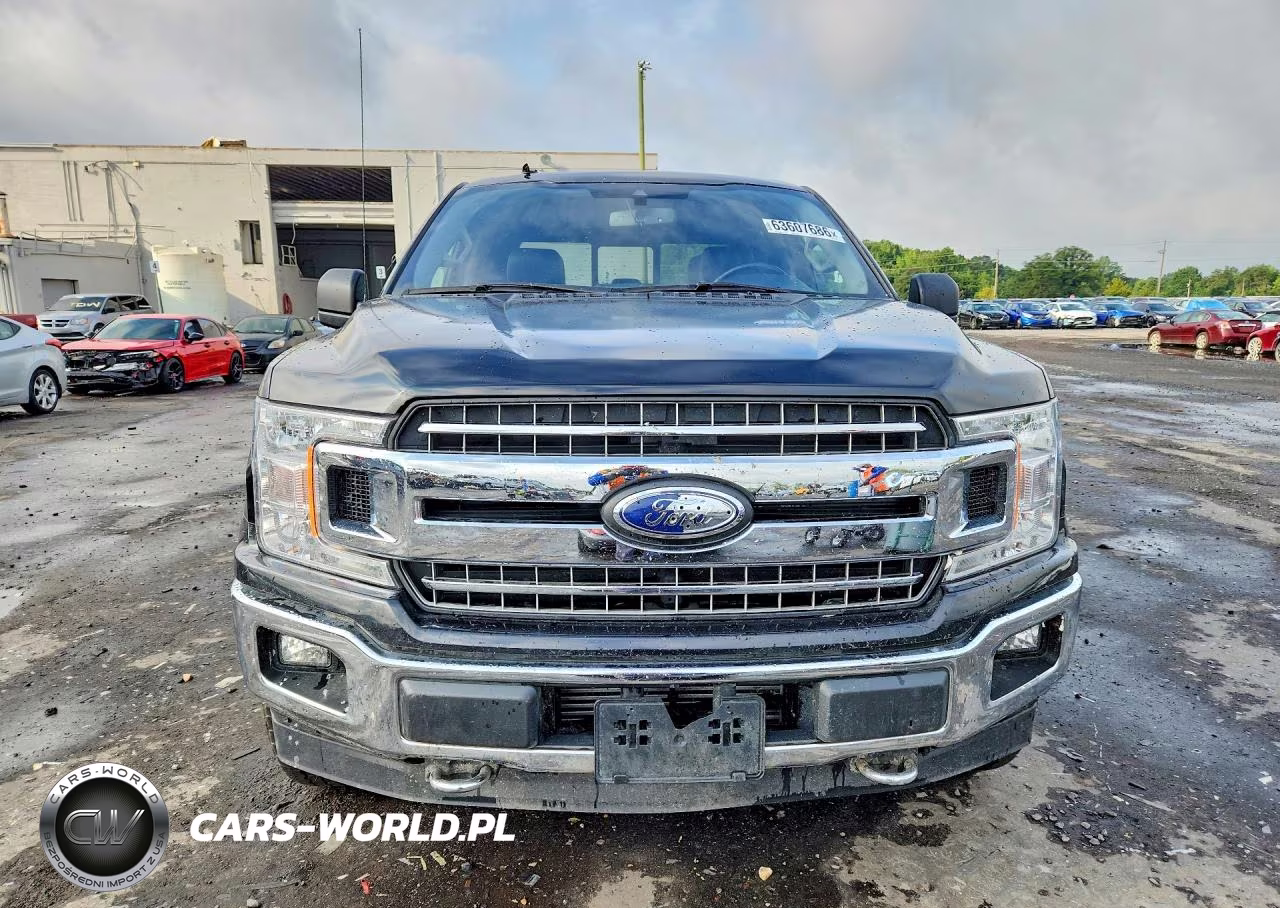 2019 Ford F150 Supercrew VIN:1FTEW1EP0KFB15696 - 5