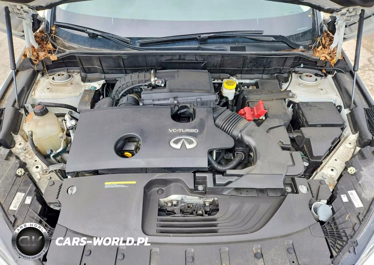 2023 Infiniti Qx50 Luxe VIN:3PCAJ5BB6PF123424 - 11