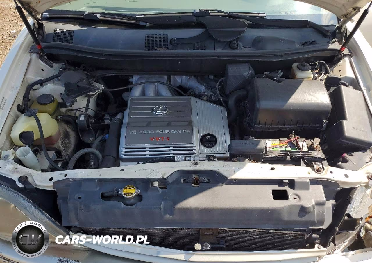 2000 Lexus Rx 300 VIN:JT6GF10U6Y0049941 - 12