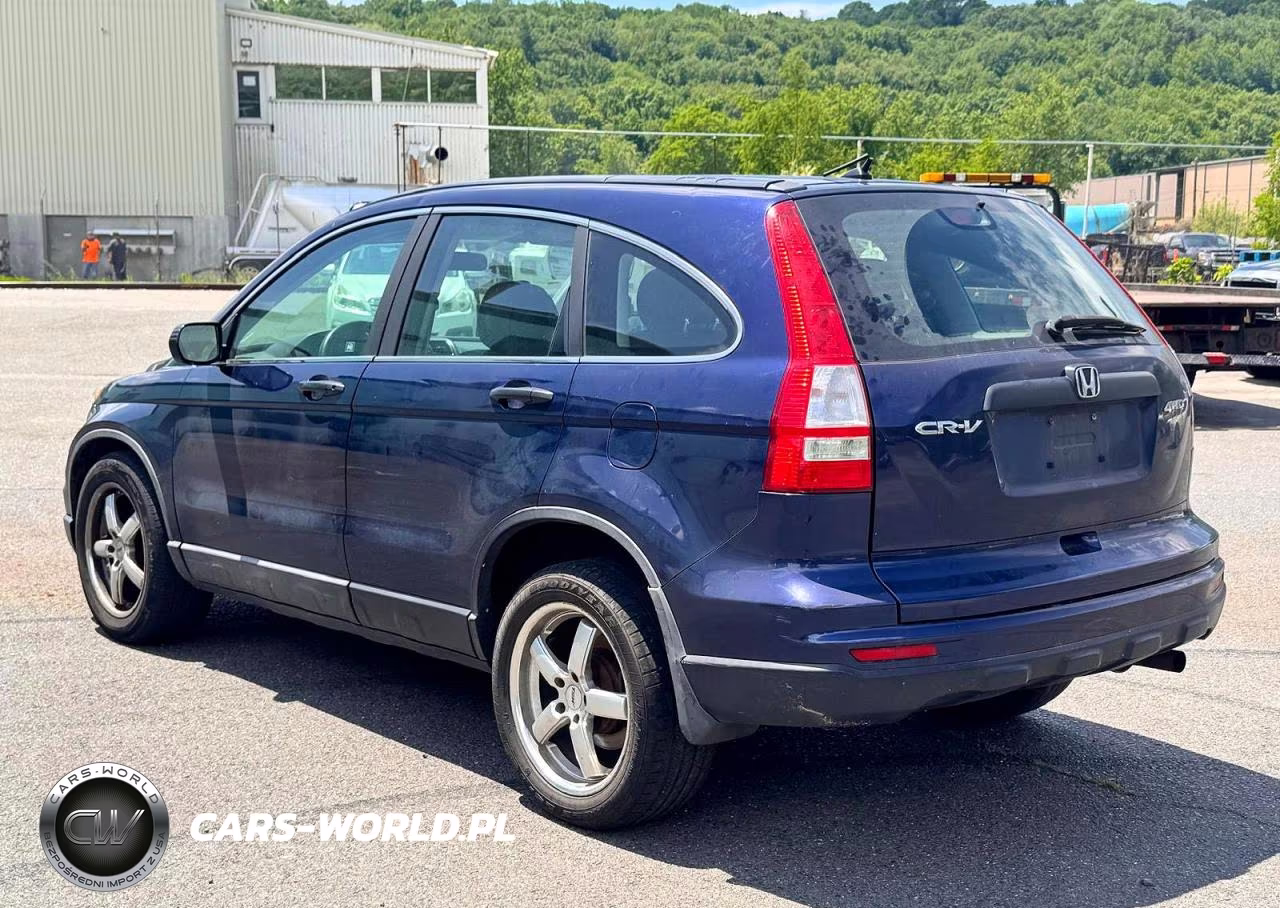 2010 Honda Cr-V Lx VIN:5J6RE4H39AL025584 - 3