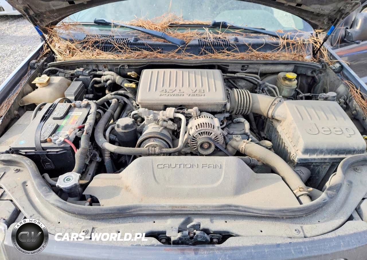 2004 Jeep Grand Cherokee Laredo VIN:1J4GW48N04C370562 - 11