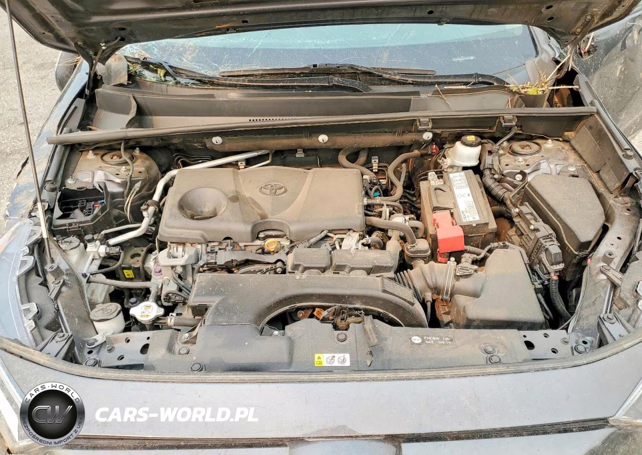 2019 Toyota Rav4 Xle VIN:2T3P1RFV0KC015875 - 12
