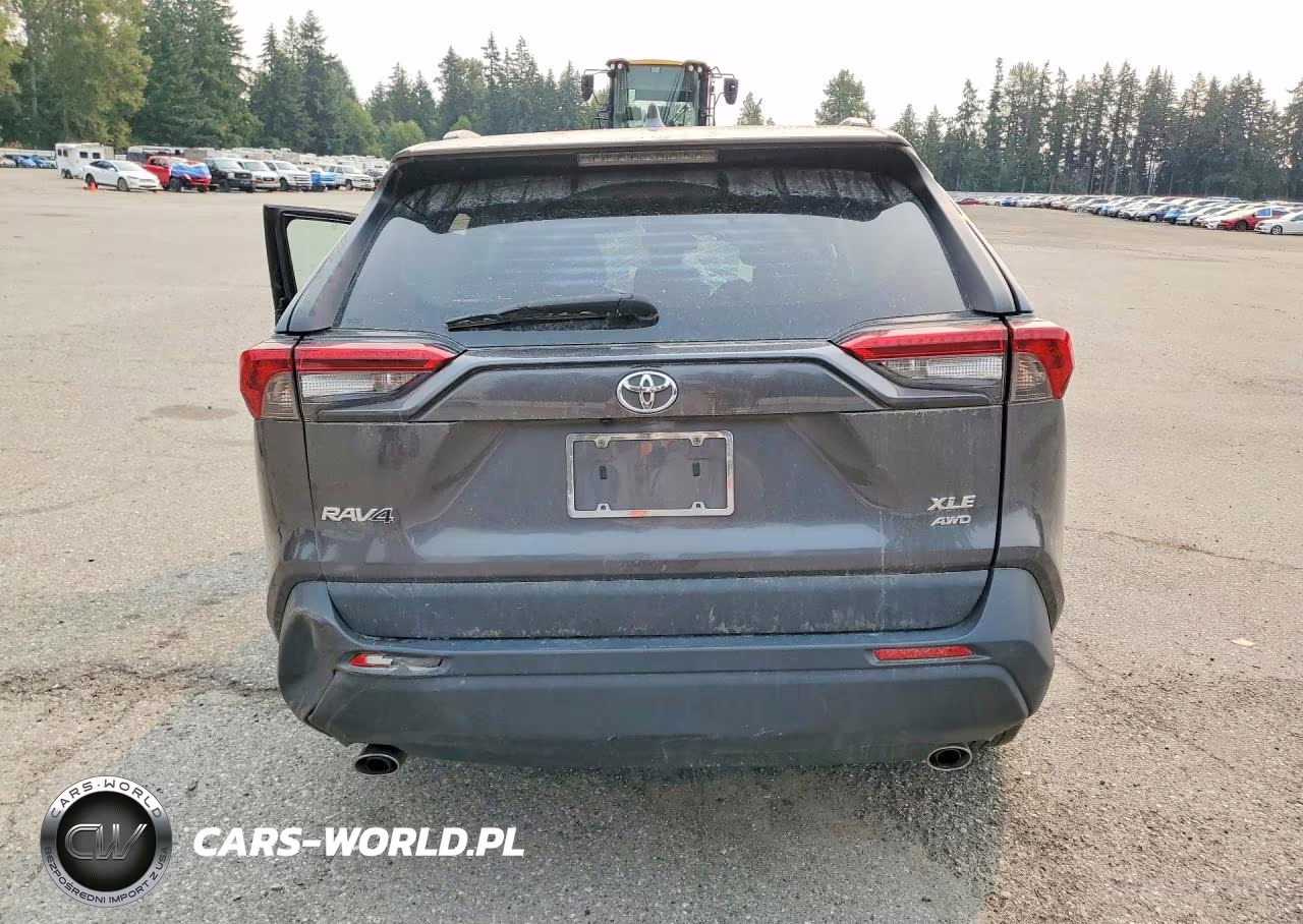 2019 Toyota Rav4 Xle VIN:2T3P1RFV0KC015875 - 6