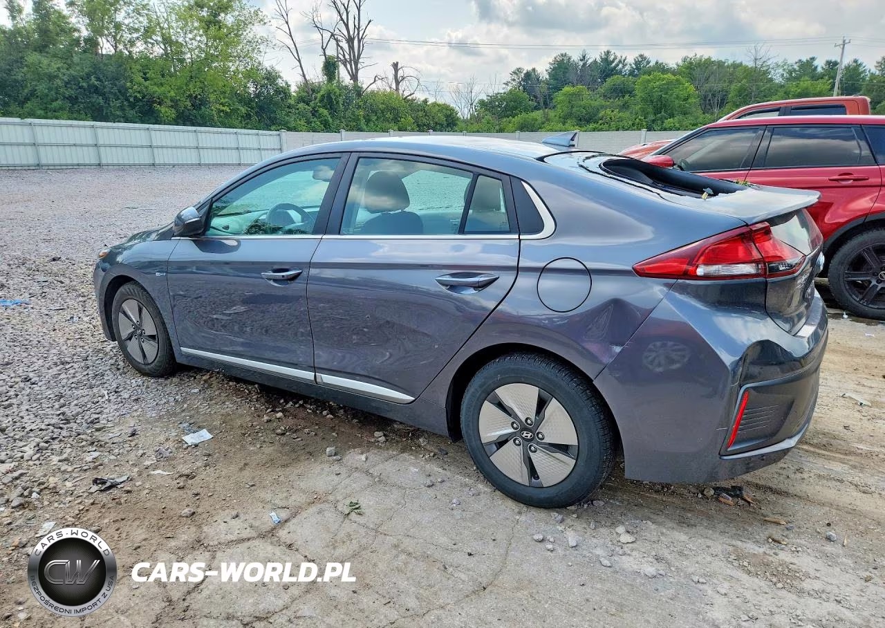 2020 Hyundai Ioniq Se VIN:KMHC75LC7LU197513 - 2