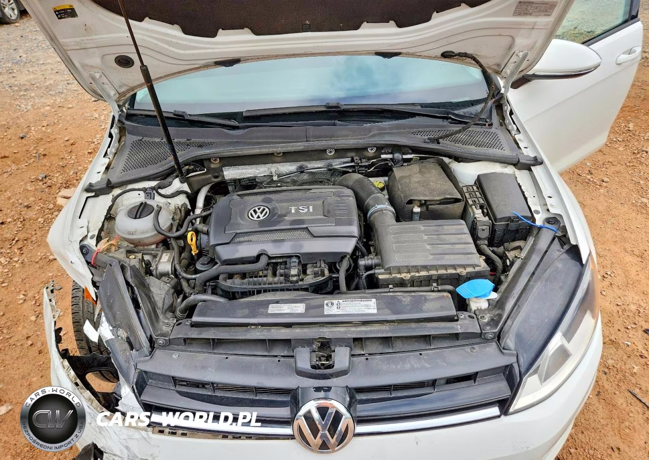 2016 Volkswagen Golf S-Se VIN:3VW217AU0GM045251 - 11