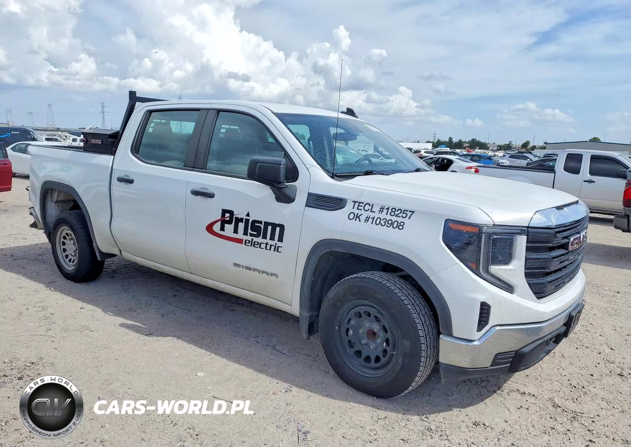 2024 GMC Sierra C1500 VIN:1GTPHAEKXRZ159995 - 4