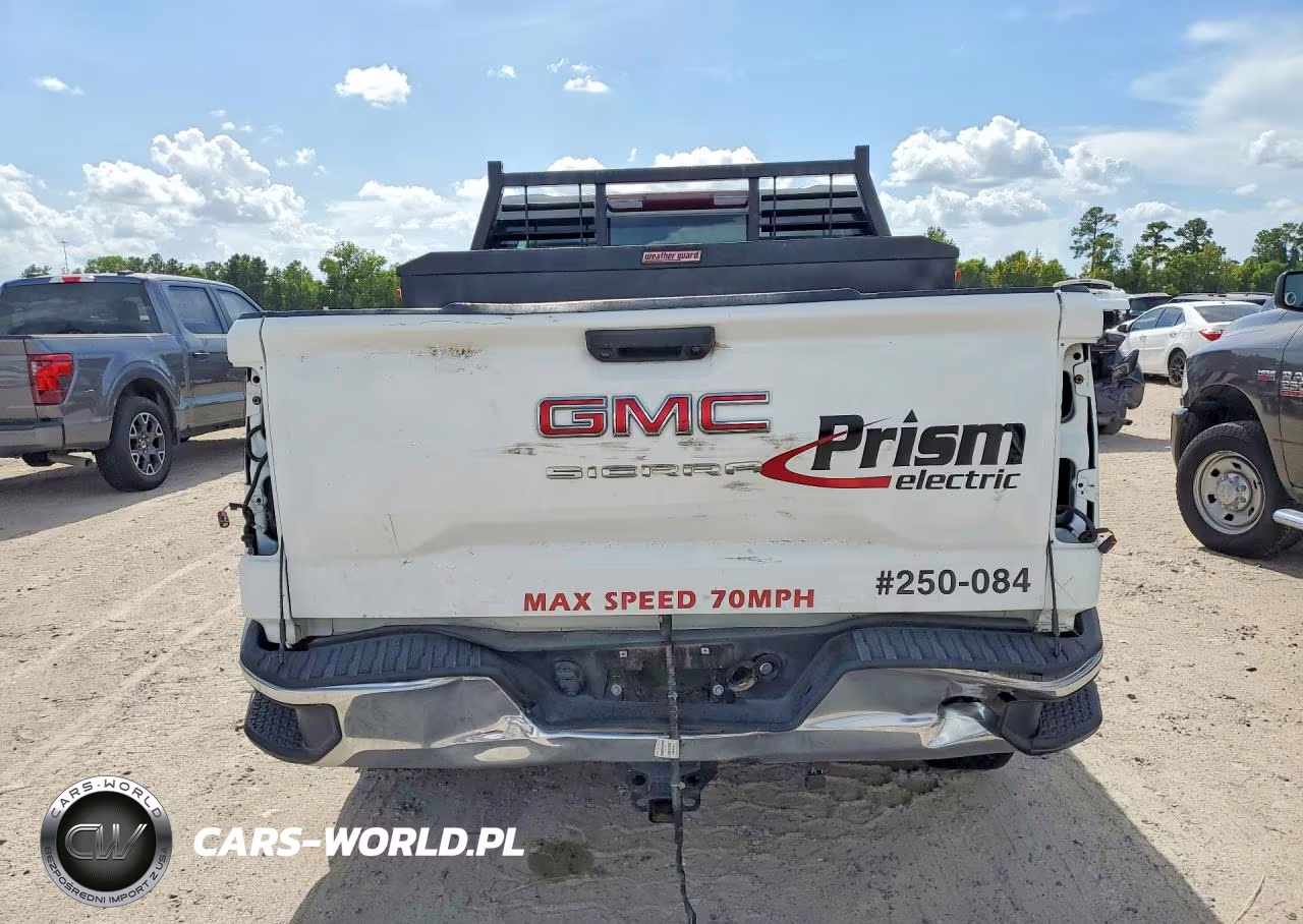 2024 GMC Sierra C1500 VIN:1GTPHAEKXRZ159995 - 6
