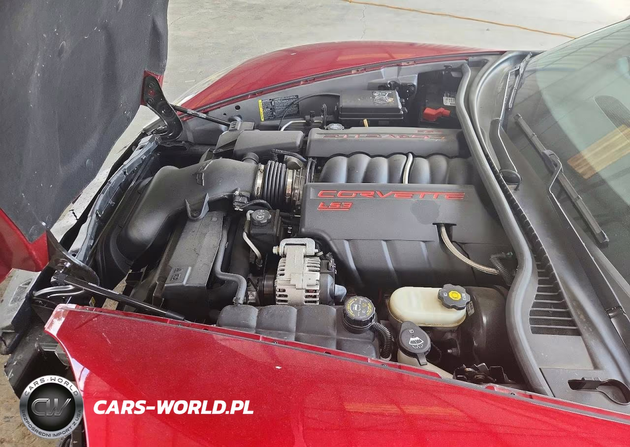 2008 Chevrolet Corvette VIN:1G1YY26W885115519 - 11