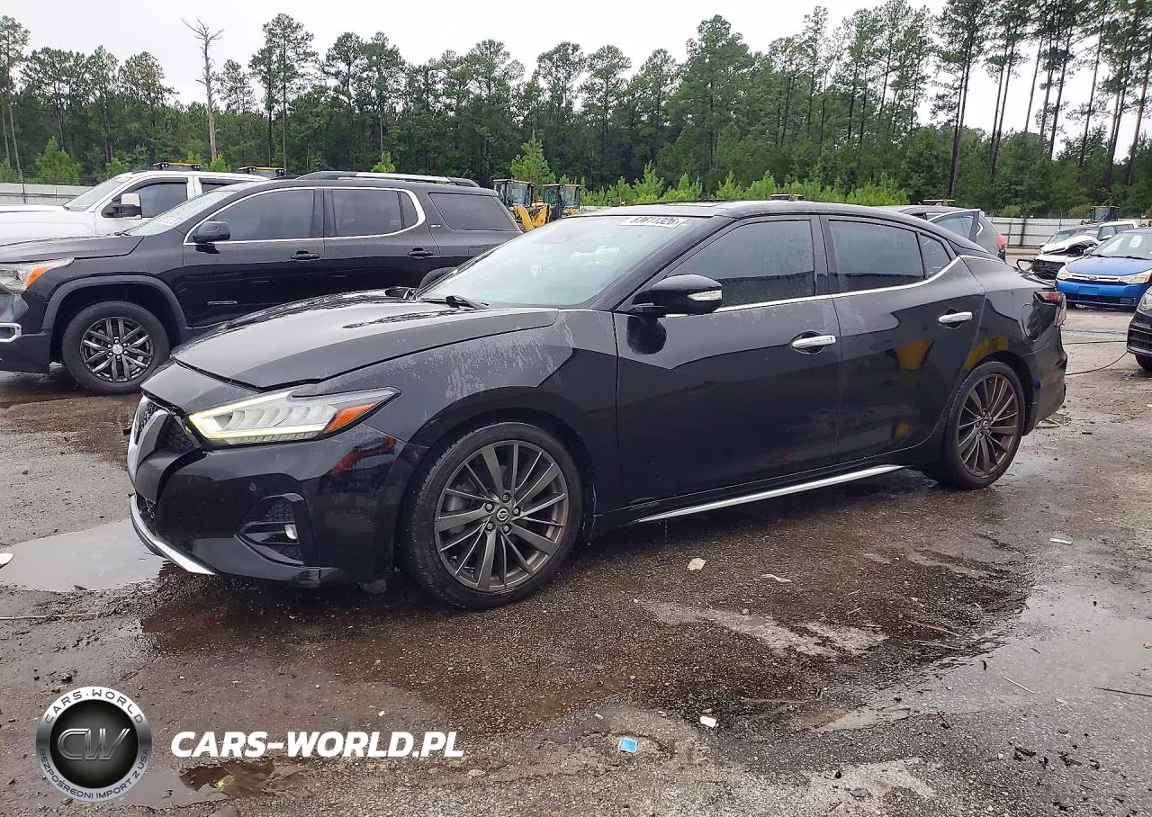 2019 Nissan Maxima Platinum VIN:1N4AA6AVXKC377375 - 1