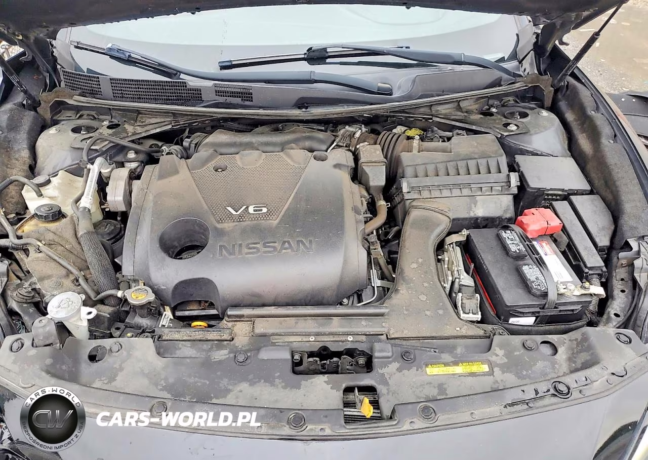 2019 Nissan Maxima Platinum VIN:1N4AA6AVXKC377375 - 11