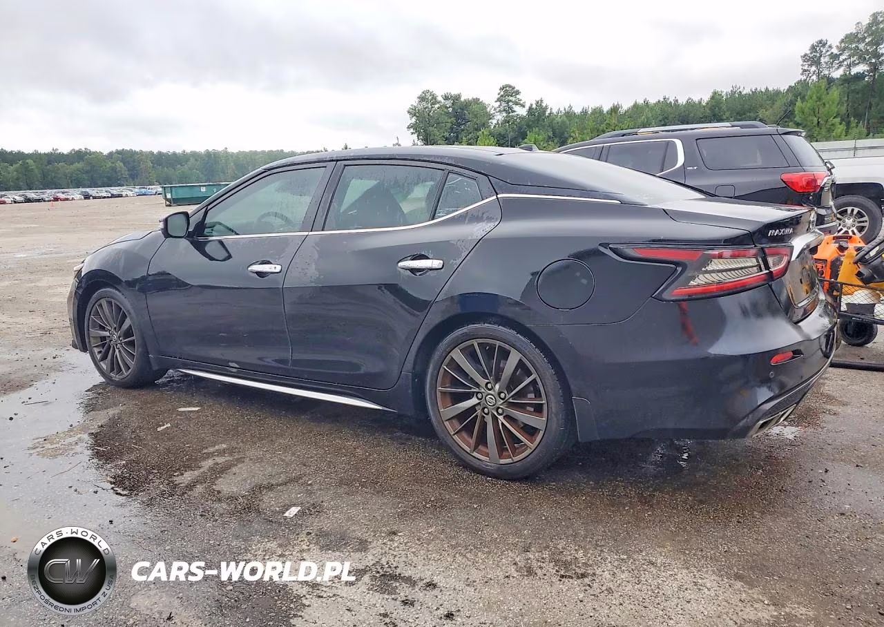 2019 Nissan Maxima Platinum VIN:1N4AA6AVXKC377375 - 2