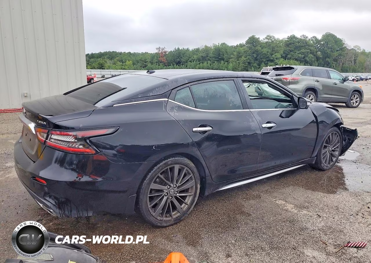 2019 Nissan Maxima Platinum VIN:1N4AA6AVXKC377375 - 3