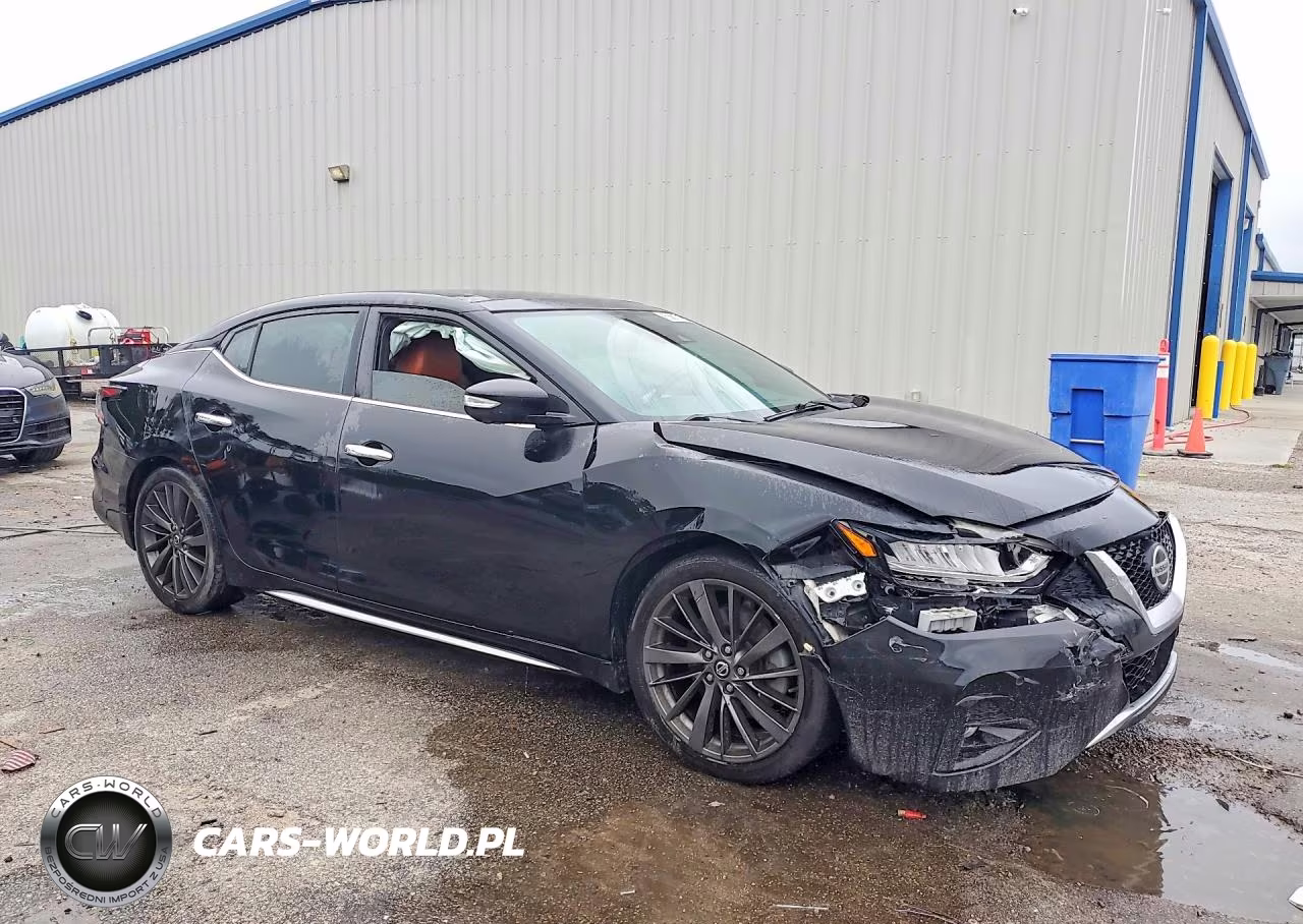 2019 Nissan Maxima Platinum VIN:1N4AA6AVXKC377375 - 4