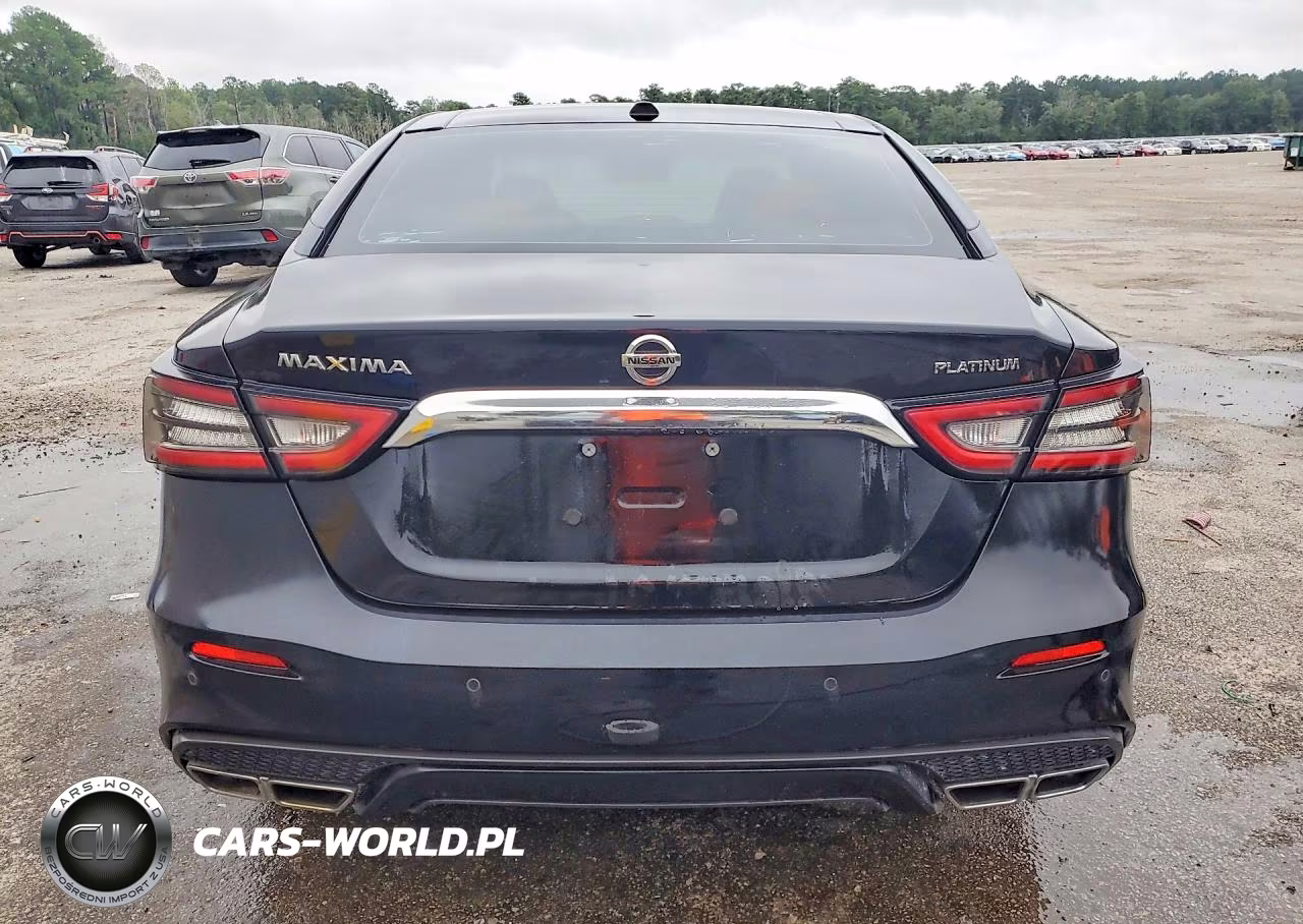 2019 Nissan Maxima Platinum VIN:1N4AA6AVXKC377375 - 6