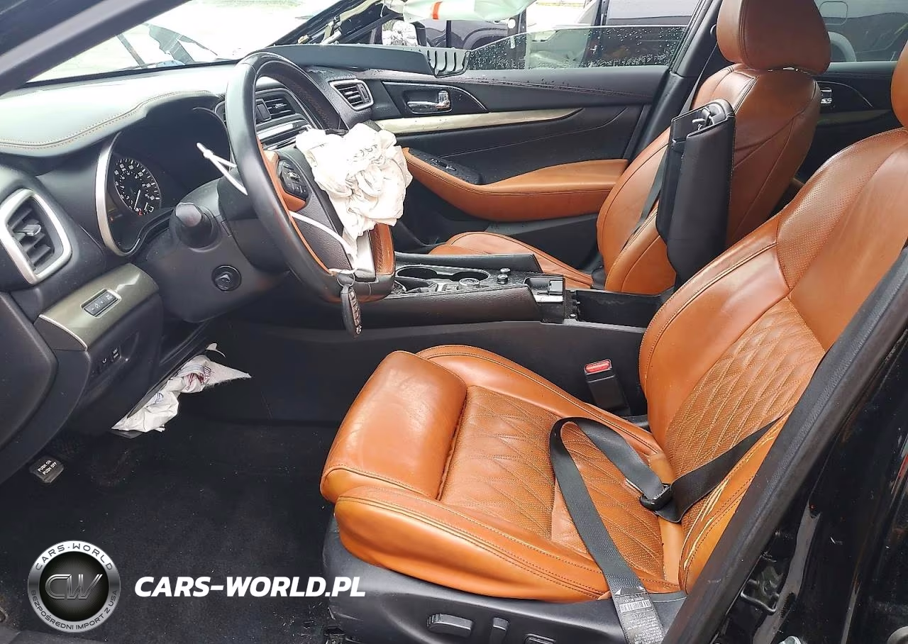 2019 Nissan Maxima Platinum VIN:1N4AA6AVXKC377375 - 7