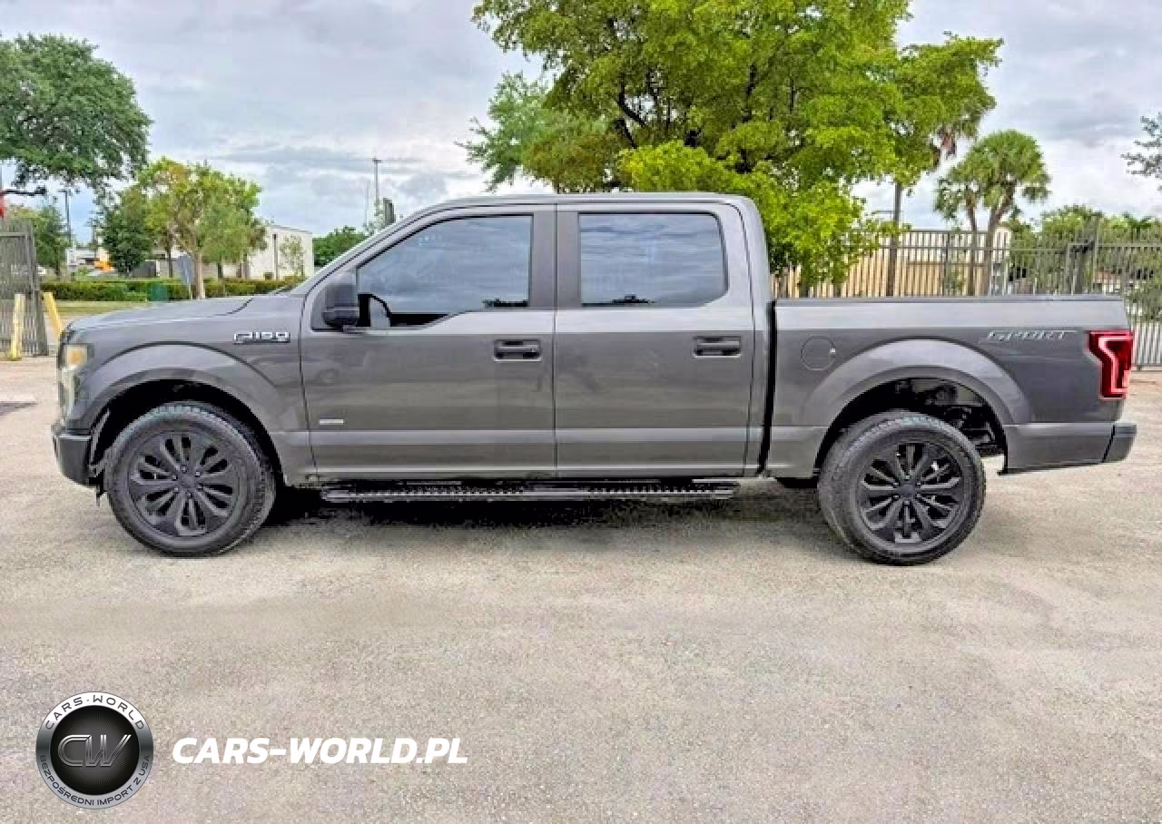 2016 Ford F150 Supercrew VIN:1FTEW1CP9GKF90720 - 12