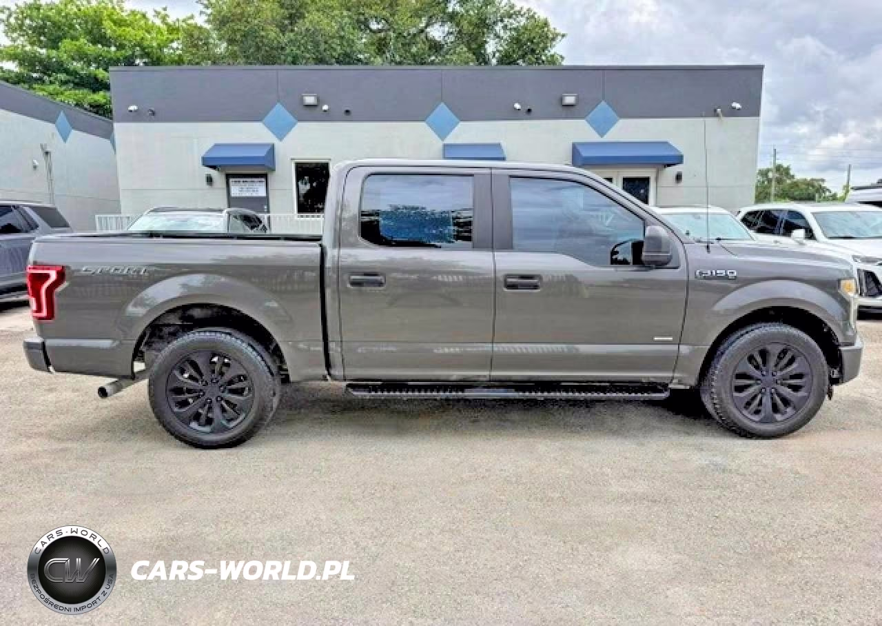 2016 Ford F150 Supercrew VIN:1FTEW1CP9GKF90720 - 13