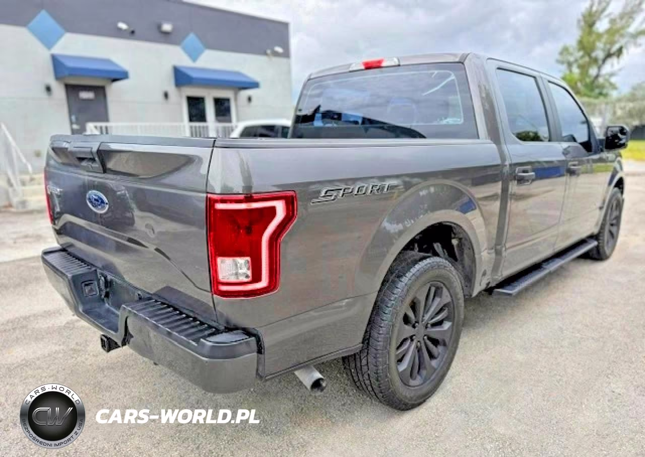 2016 Ford F150 Supercrew VIN:1FTEW1CP9GKF90720 - 3