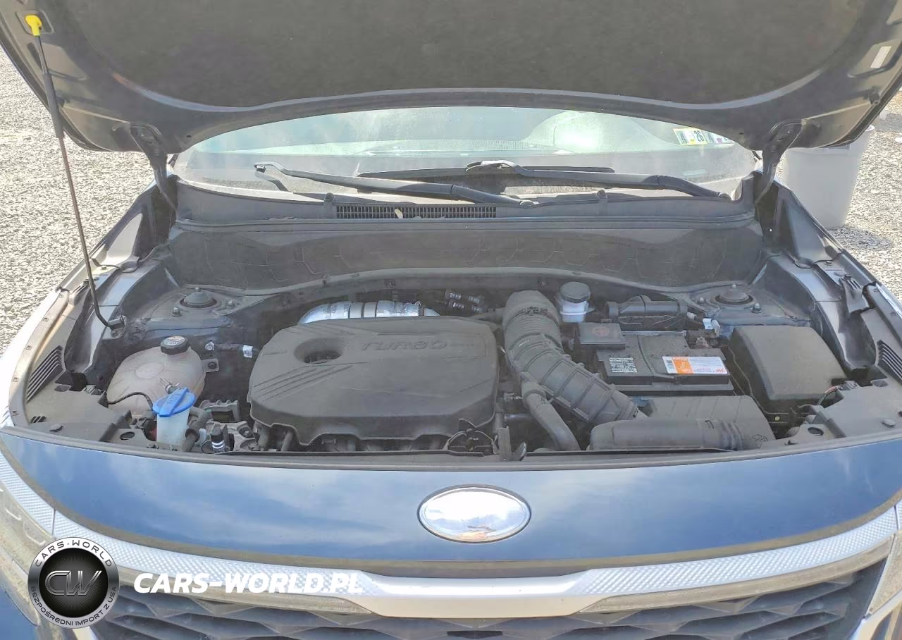 2021 Kia Seltos Sx VIN:KNDETCA2XM7218149 - 12
