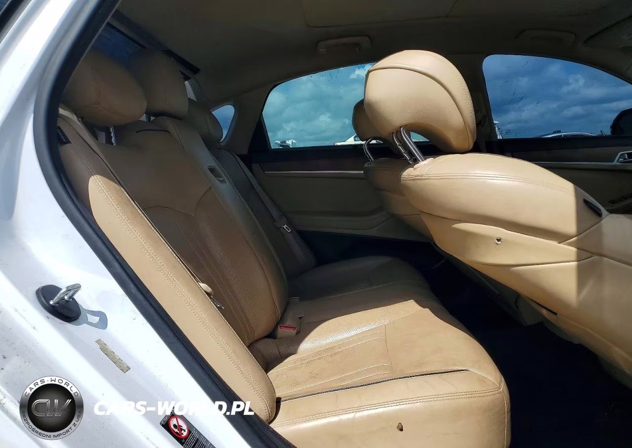 2015 Hyundai Genesis 3.8L VIN:KMHGN4JE2FU069223 - 10