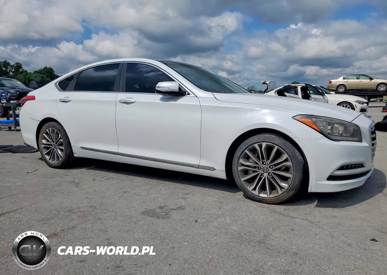 2015 Hyundai Genesis 3.8L VIN:KMHGN4JE2FU069223 - 4