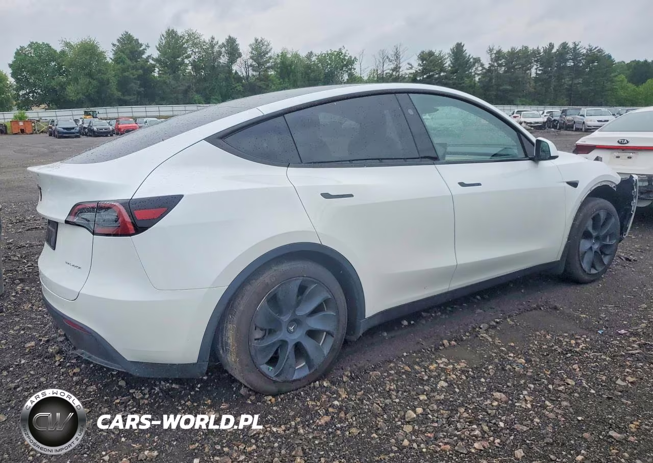2023 Tesla Model Y VIN:7SAYGDEE5PA143130 - 11