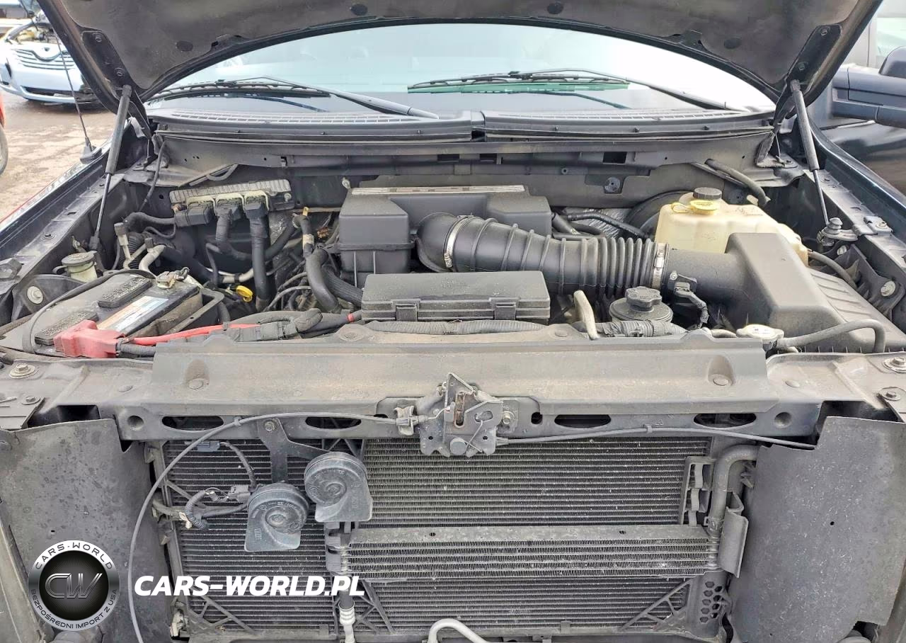 2011 Ford F150 Supercrew VIN:1FTFW1C66BFA34460 - 11