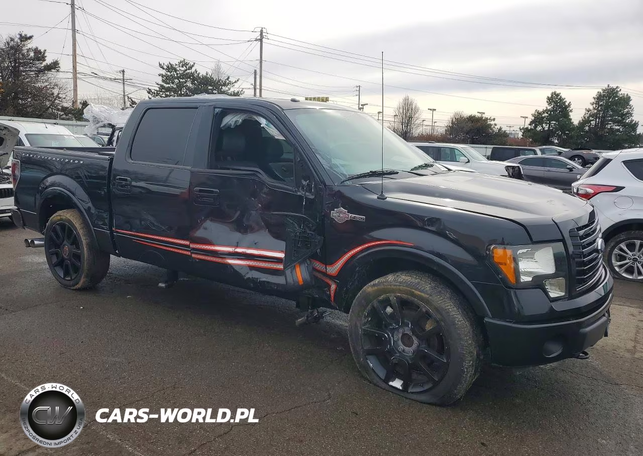 2011 Ford F150 Supercrew VIN:1FTFW1C66BFA34460 - 4