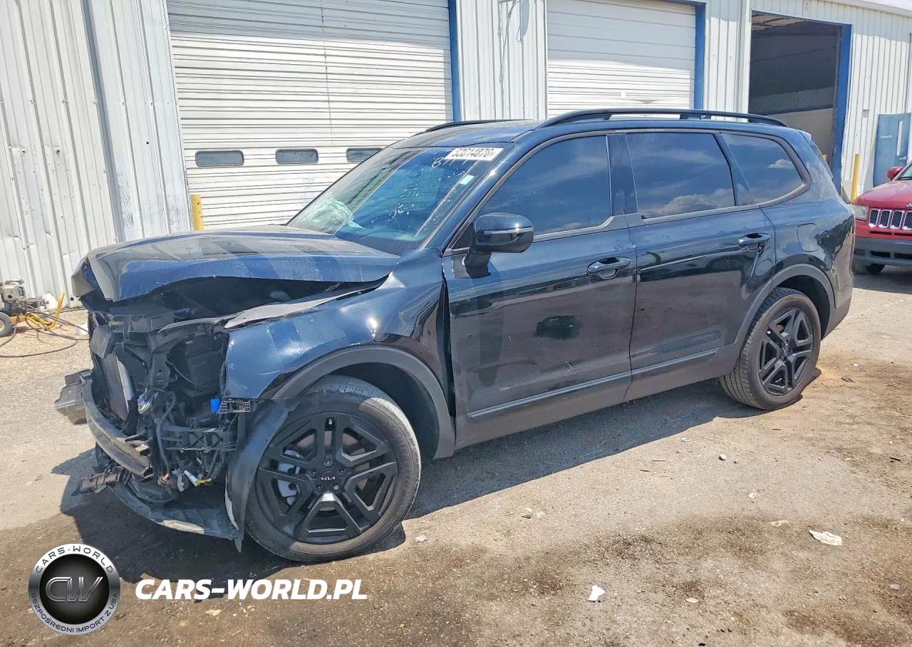 2024 Kia Telluride Ex X-Line VIN:5XYP3DGC2RG475721 - 1