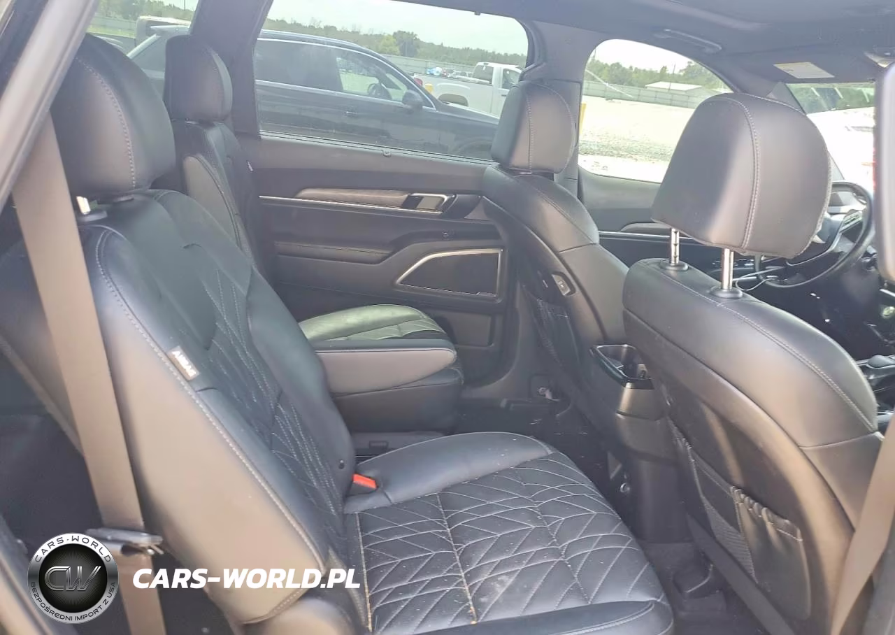 2024 Kia Telluride Ex X-Line VIN:5XYP3DGC2RG475721 - 10
