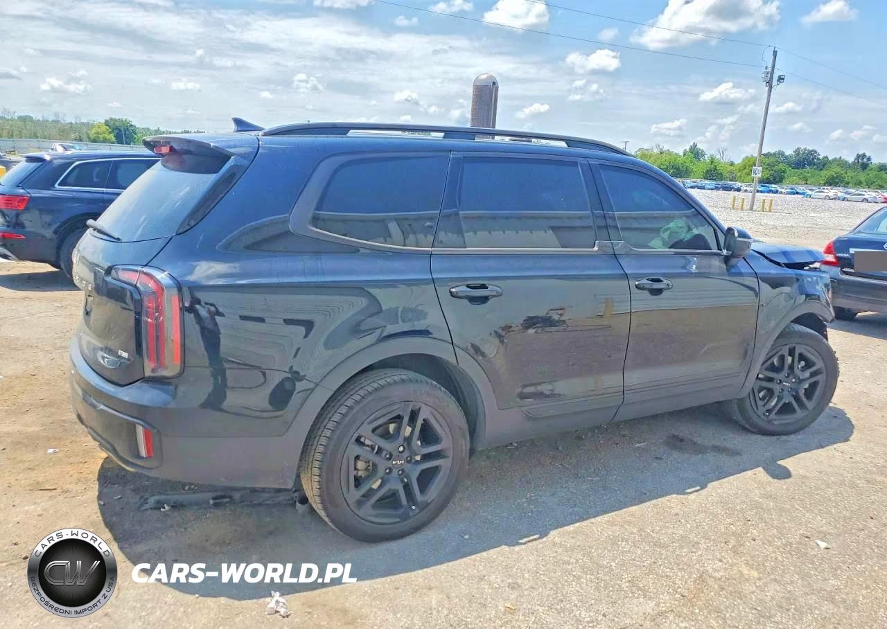 2024 Kia Telluride Ex X-Line VIN:5XYP3DGC2RG475721 - 3