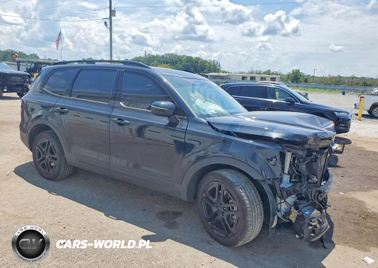 2024 Kia Telluride Ex X-Line VIN:5XYP3DGC2RG475721 - 4