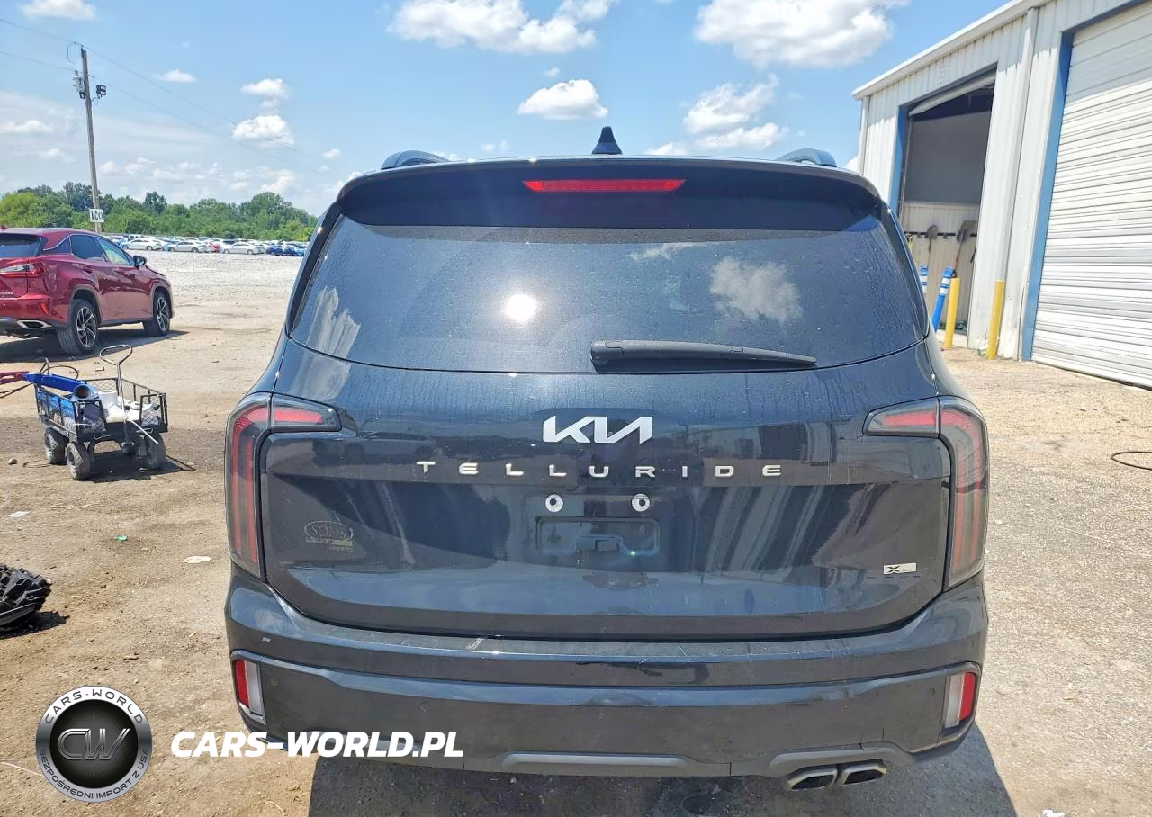 2024 Kia Telluride Ex X-Line VIN:5XYP3DGC2RG475721 - 6