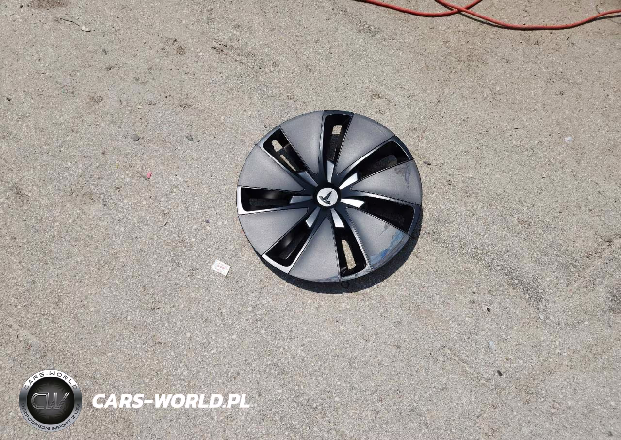 2025 Tesla Model 3 VIN:5YJ3E1EA5SF007908 - 12