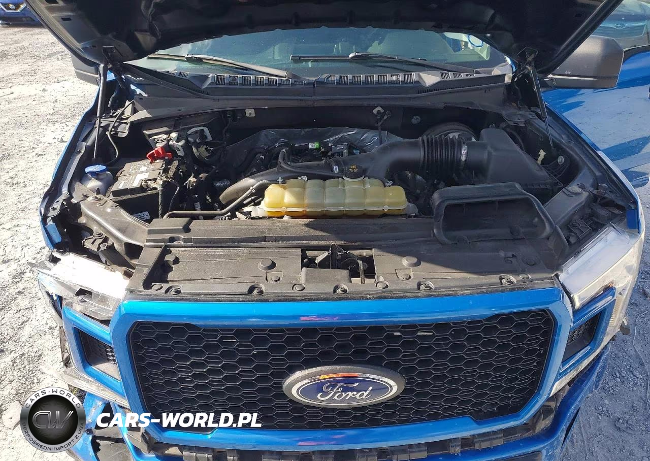 2020 Ford F150 Supercrew VIN:1FTEW1CP8LFB84737 - 11
