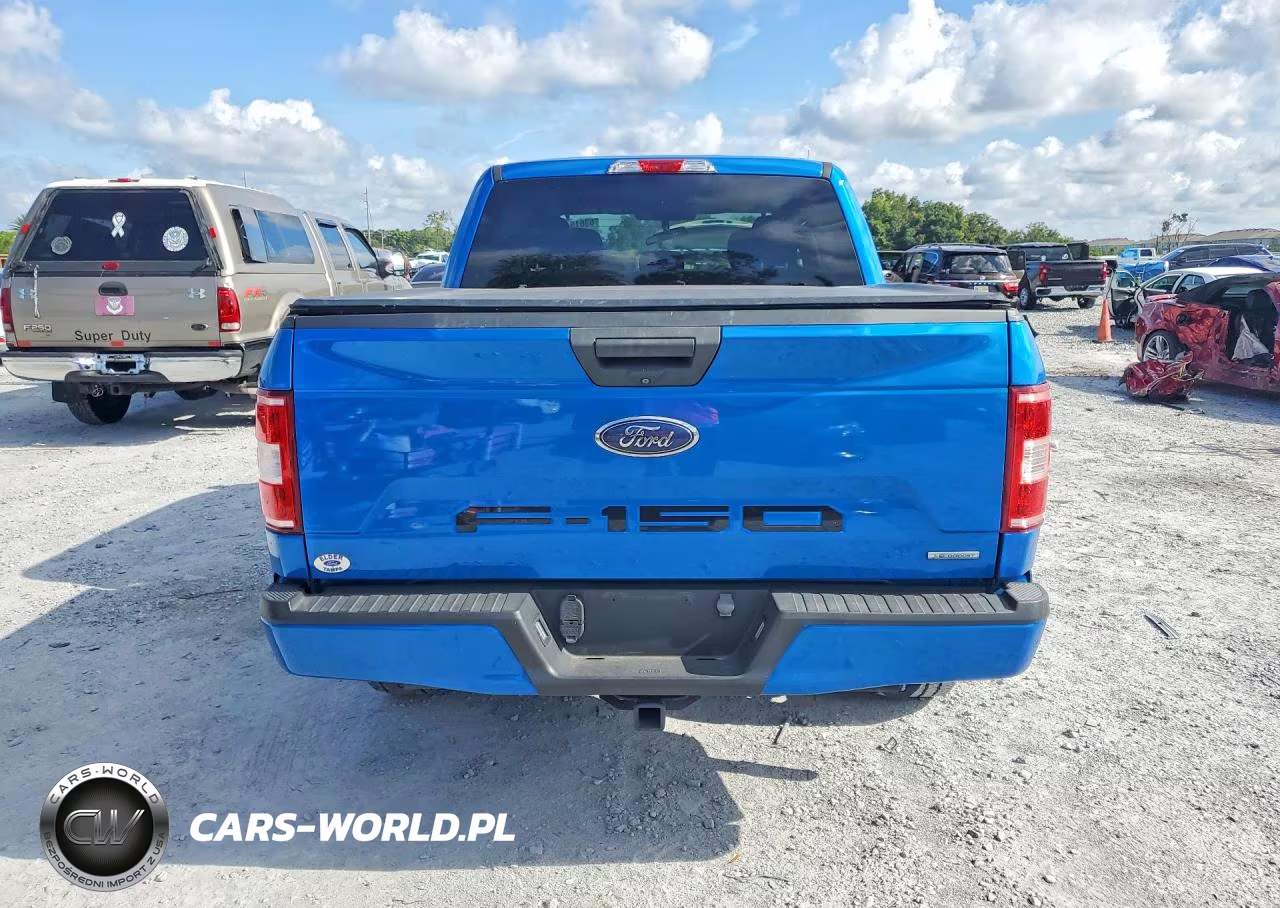 2020 Ford F150 Supercrew VIN:1FTEW1CP8LFB84737 - 6