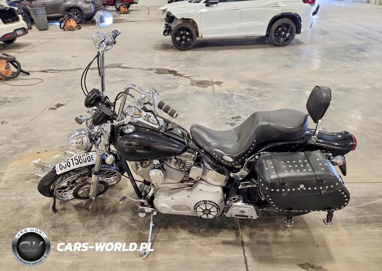 2004 Harley-Davidson Fxst VIN:1HD1BHY144Y012359 - 3