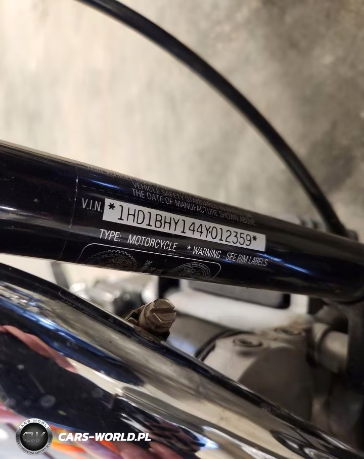 2004 Harley-Davidson Fxst VIN:1HD1BHY144Y012359 - 9